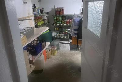 Vand casa P+M zona Eminescu - 11