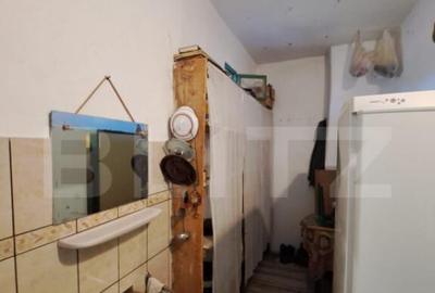 Casa individuala de vanzare in satul Zizin, jude?ul Bra - 3