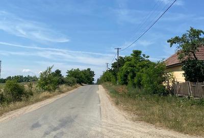 Teren de 15000 mp, în Medieșu Aurit - 2