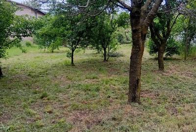 Casă individuală cu 5 camere cu Canalizare în Buftea - 1