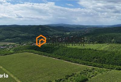 Teren de 7992 mp, în Vernești - 3