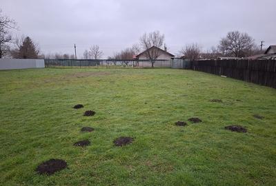 Teren în Central - 1