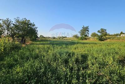 Teren intravilan 1,733mp Mitocasi, Suceava - 14
