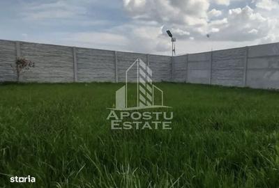 Casă cu 3 camere în Izvin - 5