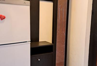 2 camere mobilat- utilat complet! Bulevardul Timișoara ! - 11