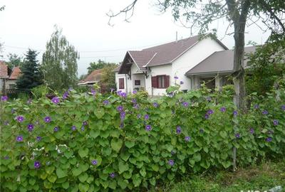 Casă cu 3 camere cu Teren 1800 Mp în Turnu - 1