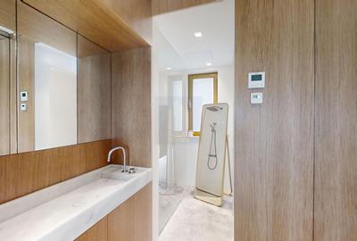 Penthouse cu 2 camere decomandat, mobilat în Dacia - 10