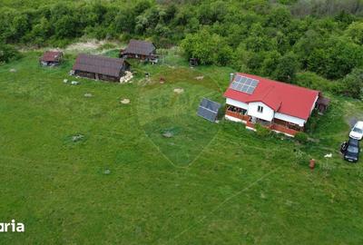 Casă cu 4 camere cu Teren 57600 Mp în Zimbor - 13