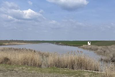 Teren de 120000 mp, în Drăgănești-Vlașca - 5