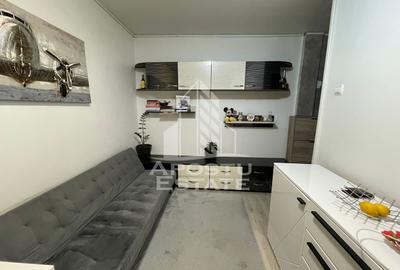 Apartament cu 2 camere semidecomandat, mobilat în Șagului - 2