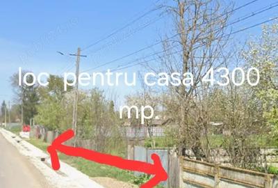 Casă cu Teren 6250 Mp în Filipești