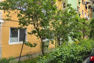 Apartament cu 2 camere semidecomandat în Valea Rosie - 2