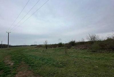 Teren de 5000 mp, în Bănești - 5