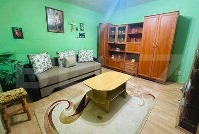 Apartament pentru vacan?a, 2 camere, 52 mp., Deda - 5