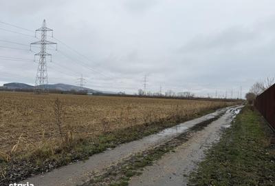 Teren de 330 mp, în Triaj - 5