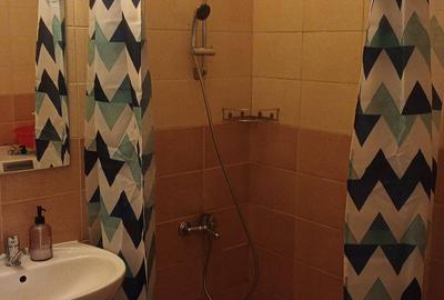 Apartament cu 2 camere decomandat în Tăuți - 5
