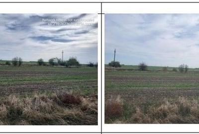 Teren de 3800 mp, în Comana - 2