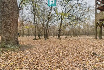 Teren extravilan de 5000 mp, în Periam - 3