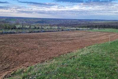 Teren de 3000 mp, în Săldăbagiu de Munte - 2