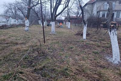 Direct de la proprietar Teren intravilan 4500mp cu casa Timisoara Direct de la proprietar Teren intravilan 4500mp cu casa Timisoara - 2