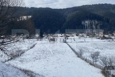 Teren de 7500 mp, în Central