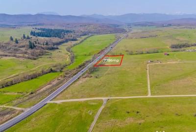 Teren de 7786 mp, în Vlădeni - 3