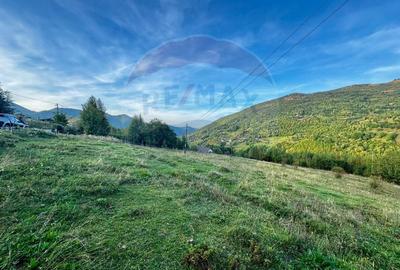 Teren cu priveliste incantatoare - Muntele Rece, Comision 0% - 3
