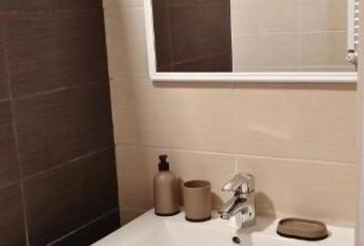 Garsoniera de inchiriat in zona Vitan - 3