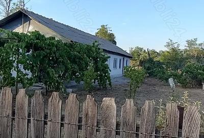 Casa de vanzare cu teren 2080 Dor Marunt - 4