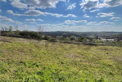 RECO teren de in zona Paleu - 7