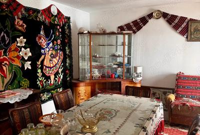 Vand proprietate Comuna Obarsia Closani Mehedinati - 3