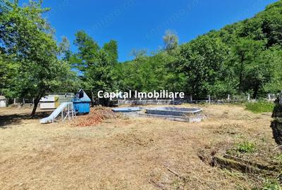 Casă cu 4 camere cu Teren 3215 Mp în Băița