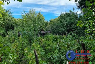 ID 6736 Teren cu casa - DE VANZARE - 6