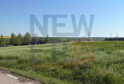 Teren 1926 mp Gostilele - Vedere Lac - 109m deschidere(2 strazi) - Fundulea - 3