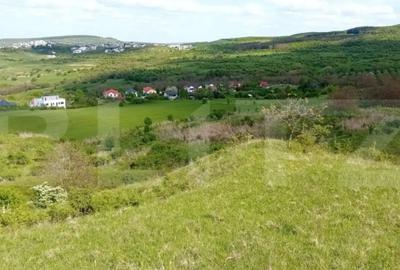 Teren de 936 mp, în Borhanci