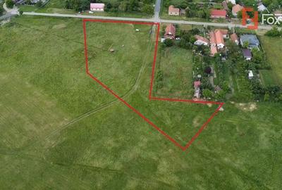 Teren Construcții intravilan de 6400 mp, în Pădureni (Jebel) - 3