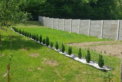 Casă cu 3 camere cu Teren 1500 Mp în Central - 11