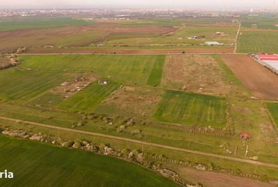 Teren de 6150 mp, în Livada - 5