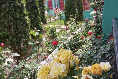 Casă cu 5 camere cu Teren 604 Mp în Dubova - 5