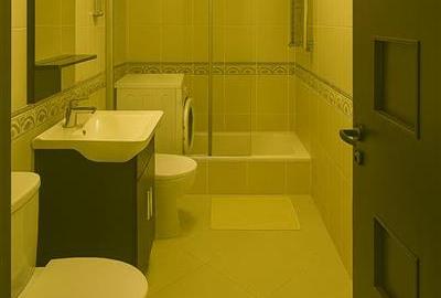 Garsonieră decomandată în Teiul Doamnei - 9