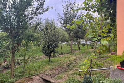 Casă cu 3 camere cu Teren 5200 Mp în Țela - 9