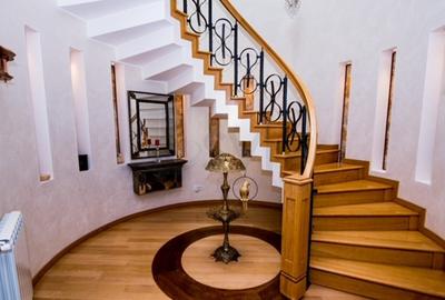 Snagov Exclusive Mansion 6750 mp - 4