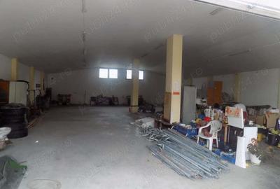 Vand casa p+e, 145mp, Hala de 297mp, Timotei Cipariu-Velenta - 3