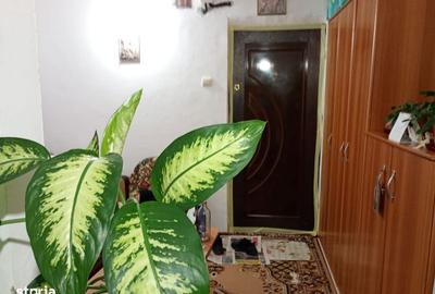 Garsonieră în Rahova