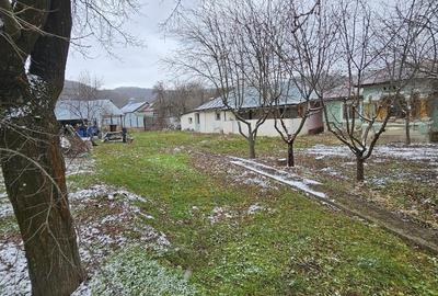 Casă individuală cu 2 camere cu Canalizare în Mitrofani - 5