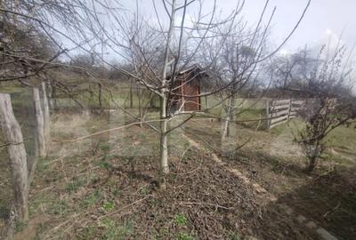 Teren 300 mp + Cabana,zona Livezile,Valea Lunga - 3