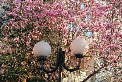 Apartament cu 3 camere semidecomandat, mobilat în Central - 16