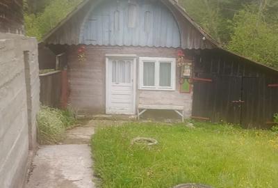 Casă cu 6 camere cu Teren 3250 Mp în Avram Iancu - 9