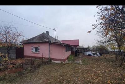 Casă cu 2 camere cu Teren 460 Mp în Nojorid - 2