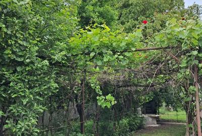 Casă cu 3 camere cu Teren 500 Mp în Central - 1